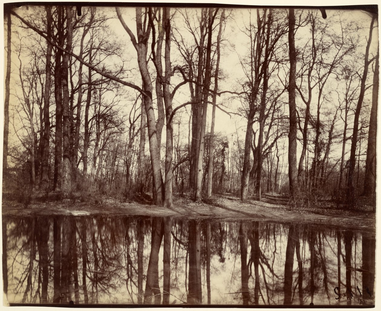 Saint-Cloud door Eugène Atget