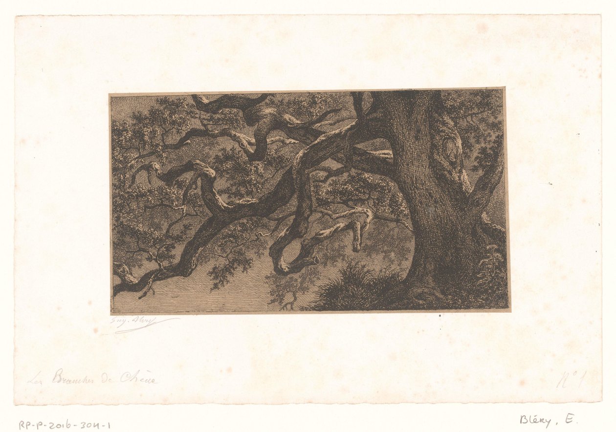 Kastanjetakken door Eugène Bléry (signed by artist)
