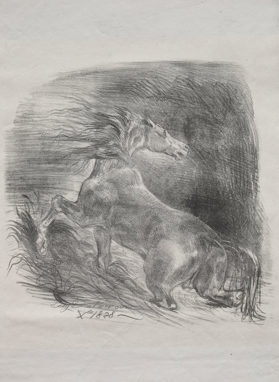 Het Wilde Paard, of Geschrokken Paard dat het Water Verlaat door Eugène Delacroix