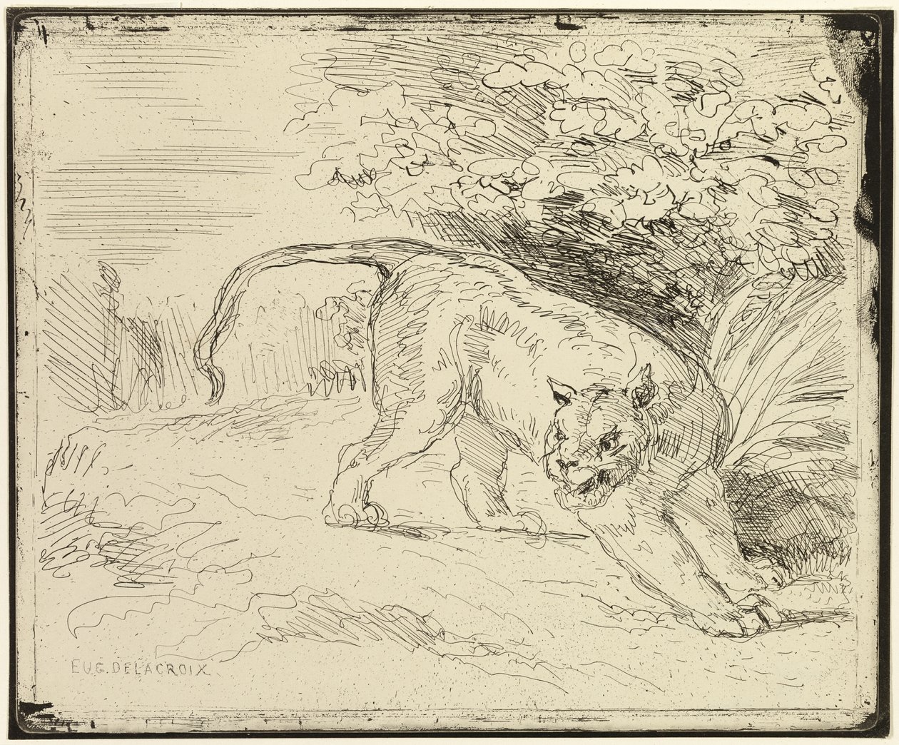 Tijger klaar voor de lente door Eugène Delacroix