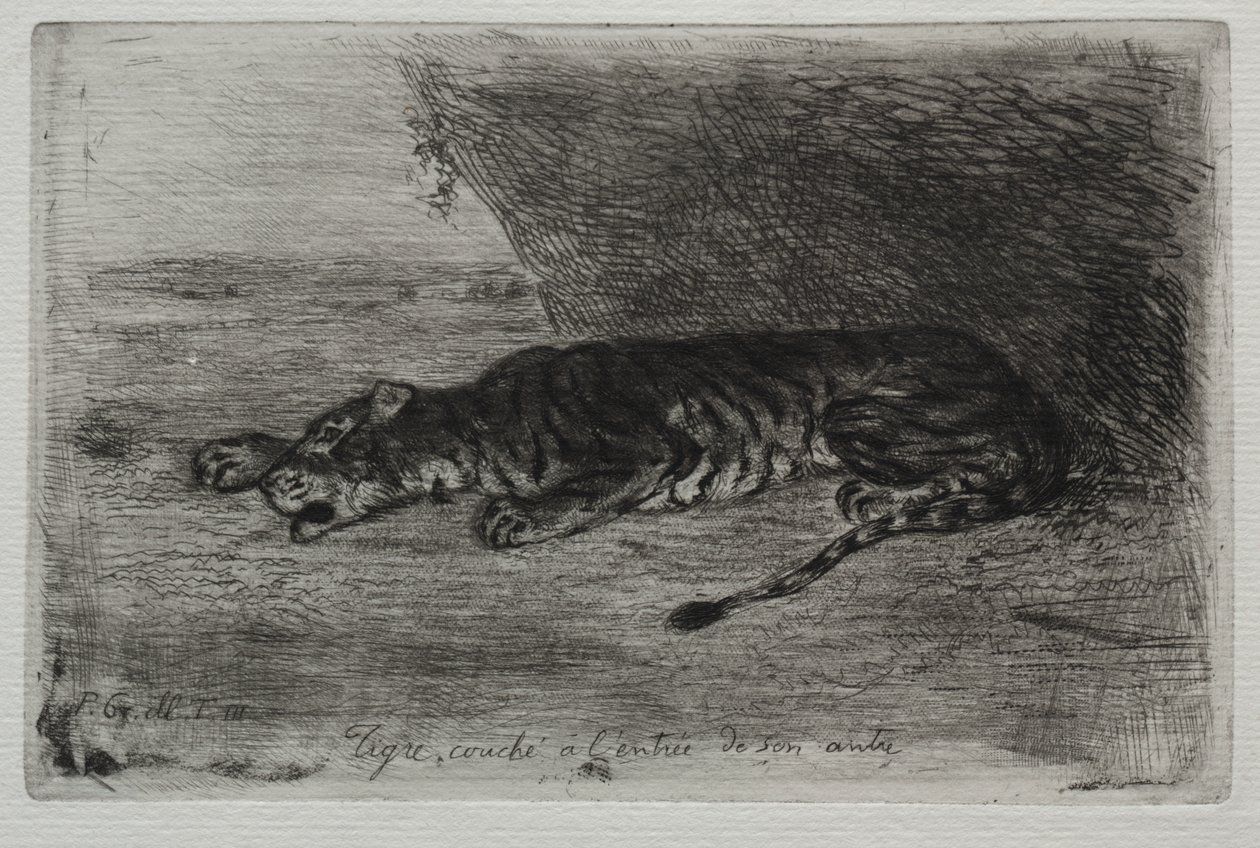 Slapende Tijger bij de Ingang van Zijn Hol door Eugène Delacroix
