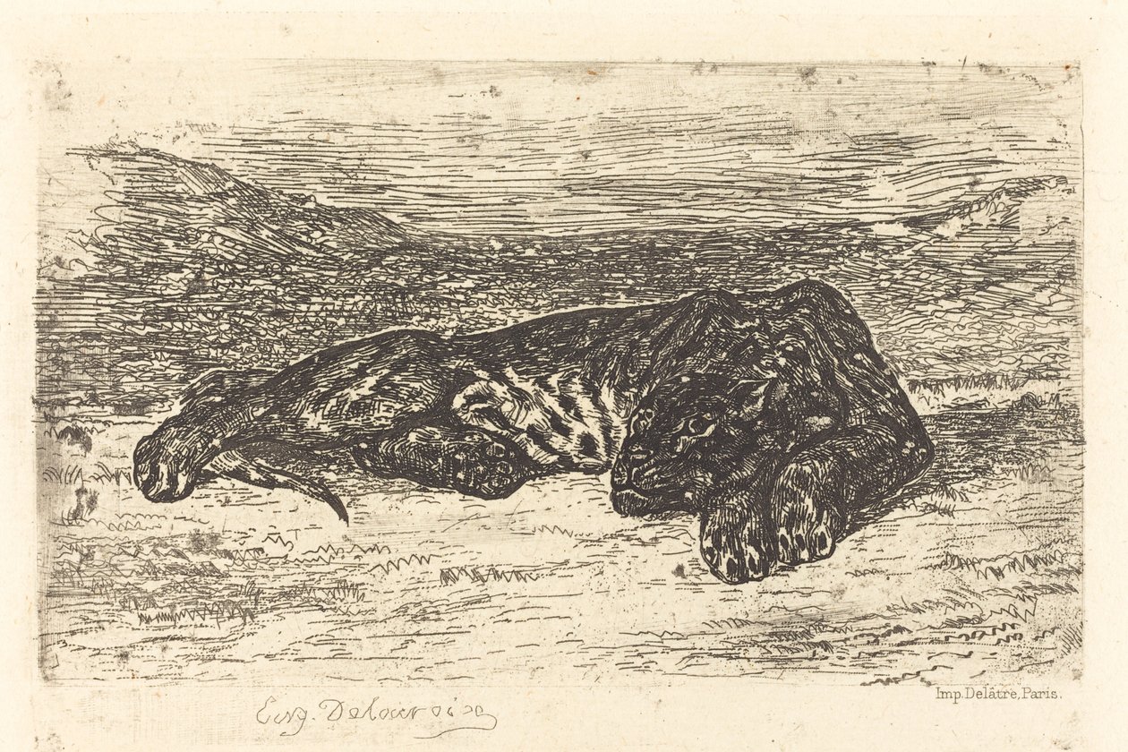 Tijger slapend in de woestijn door Eugène Delacroix