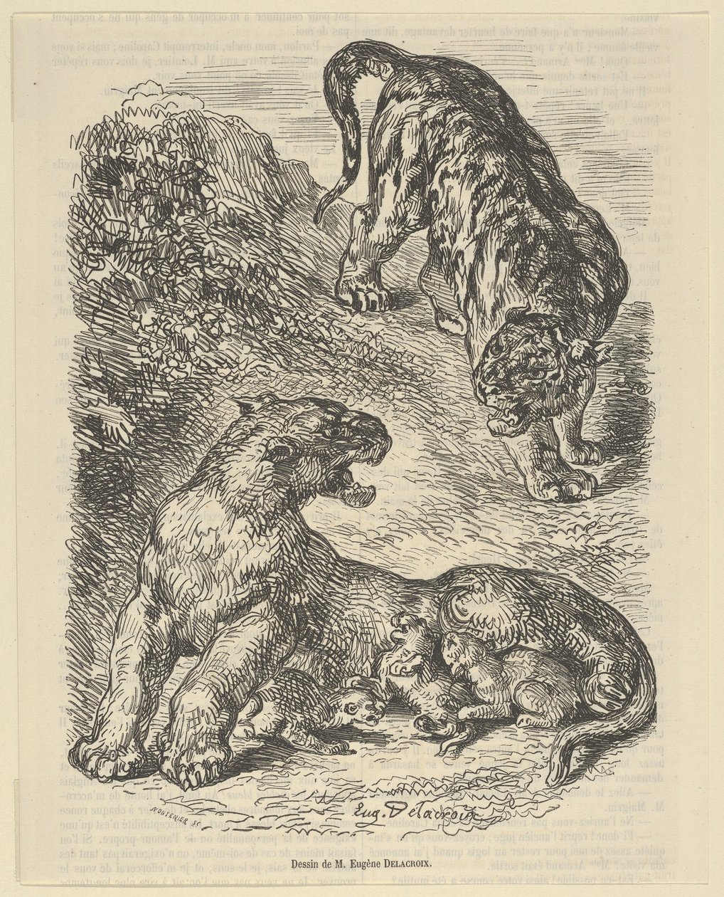 Tijgerin Aangevallen door een Tijger Terwijl ze haar Jong Zoogt door Eugène Delacroix