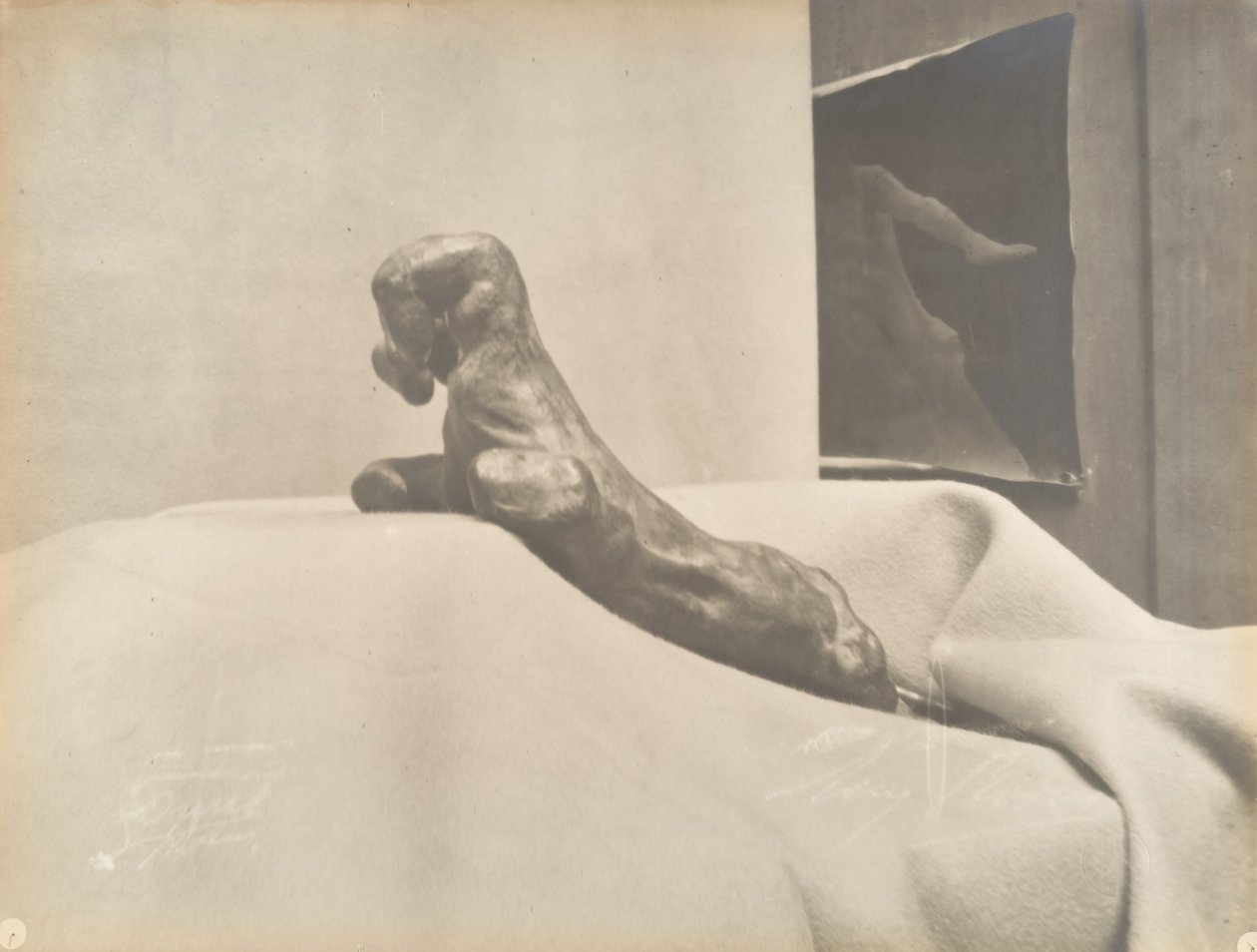 [De gebalde vuist van Auguste Rodin], voor 1898 door Eugène Druet