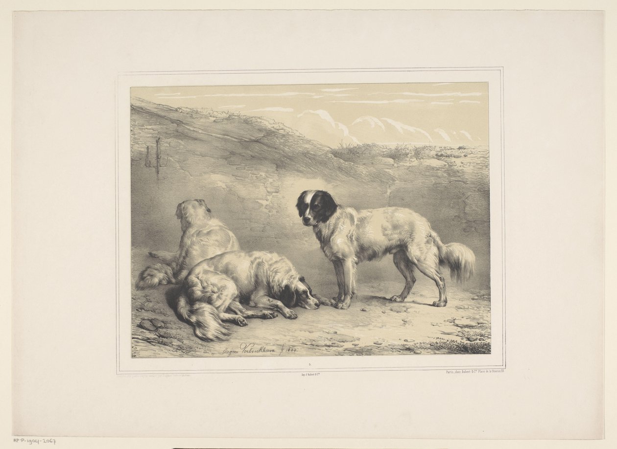 Drie honden door Eugène Verboeckhoven