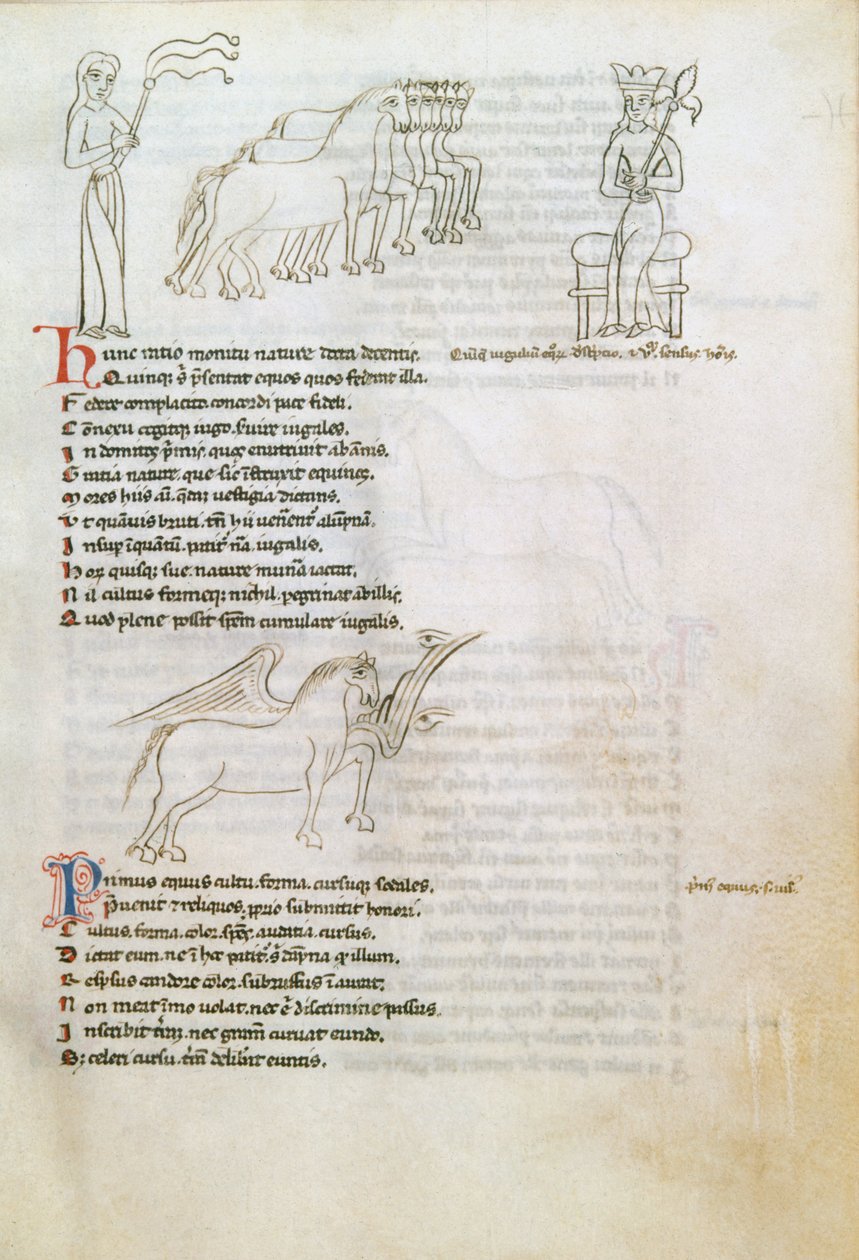 Bestiarium: het paard door European School