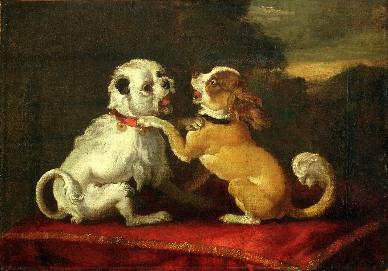 Spelende honden door European School