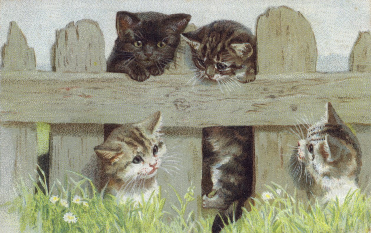 Vier kittens bij een hek (chromolitho) door European School