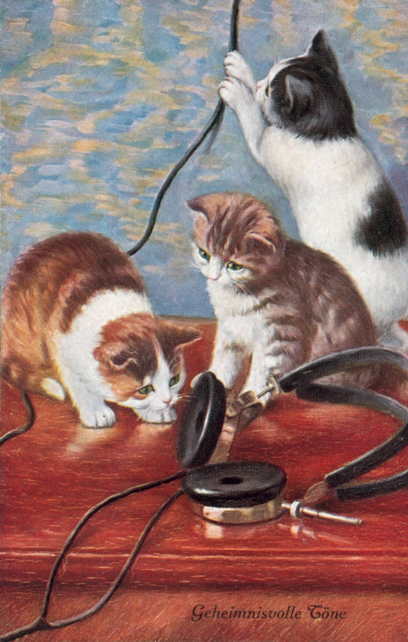 Humoristische kattenpostkaart (kleurenlitho) door European School