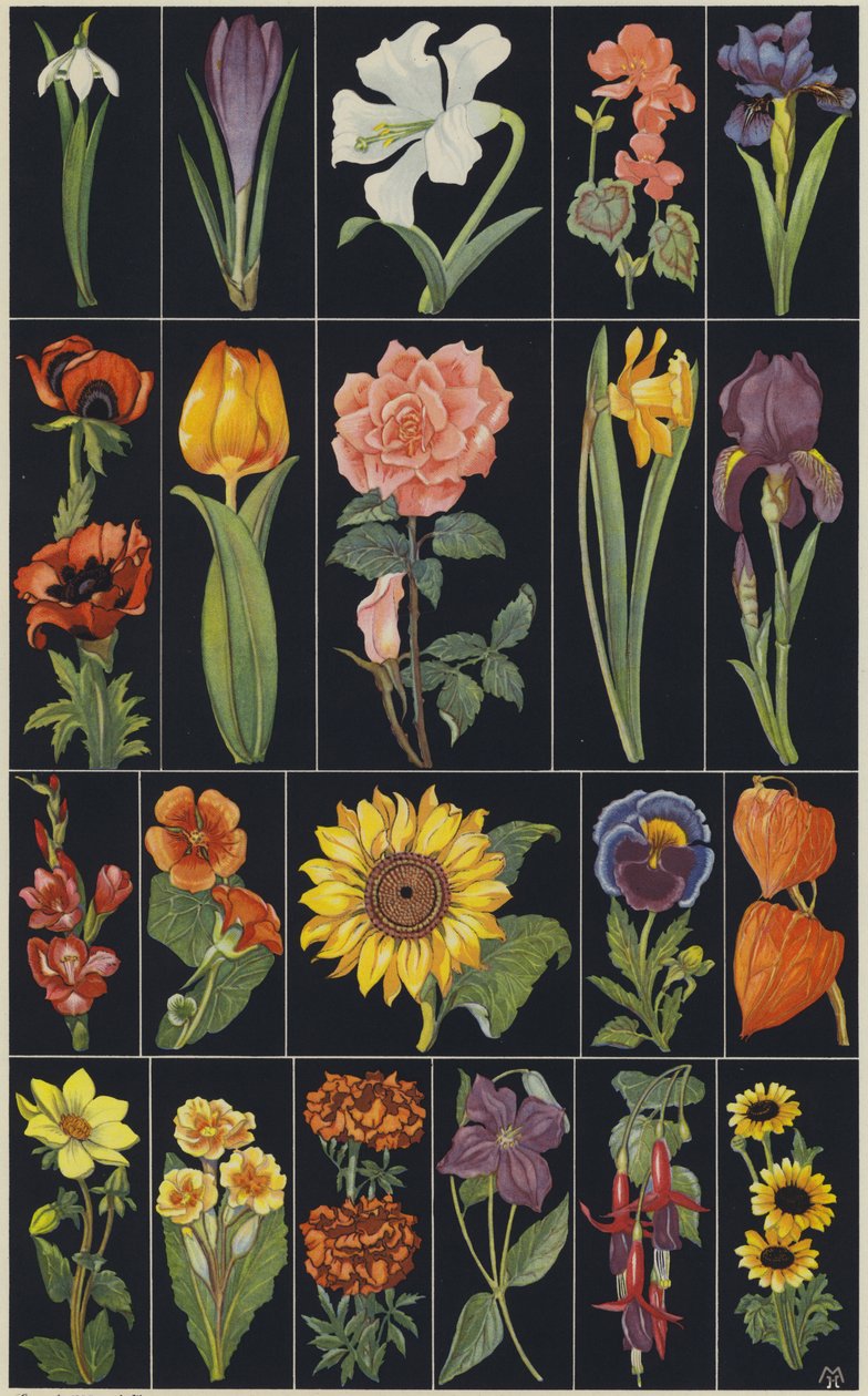 Pagina uit kinderprentenboek Bloemen (kleurenlitho) door European School
