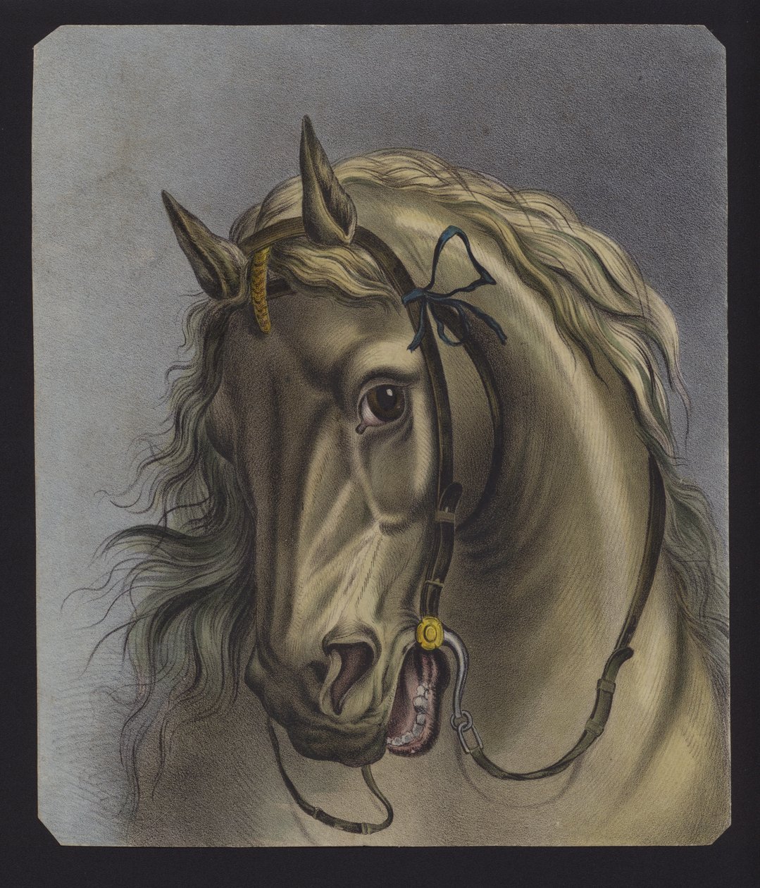 Portret van een paard (kleurenlitho) door European School