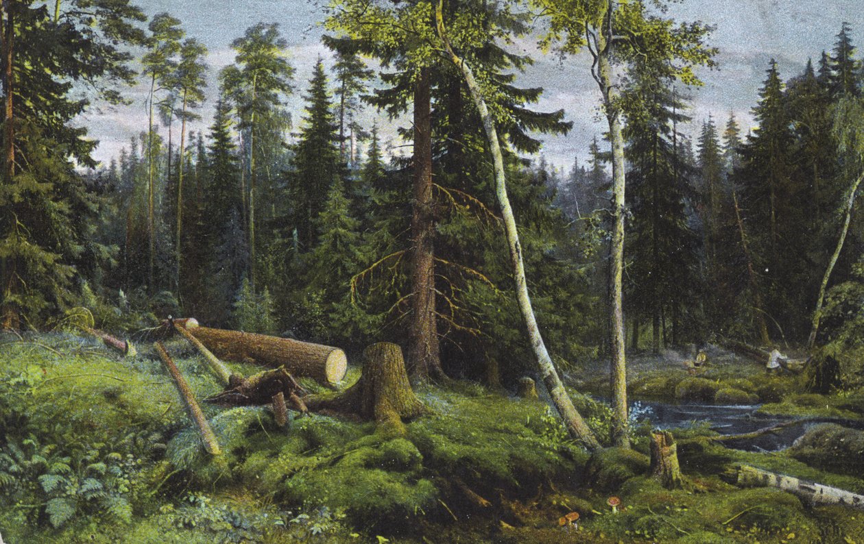 Scène in een bos met gekapte bomen (kleurenlitho) door European School