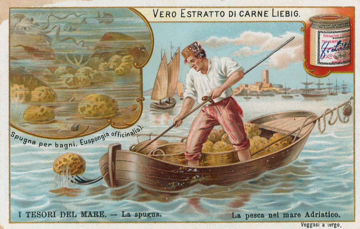 Schatten van de zee, Liebig-kaart, begin 20e eeuw (chromo) door European School
