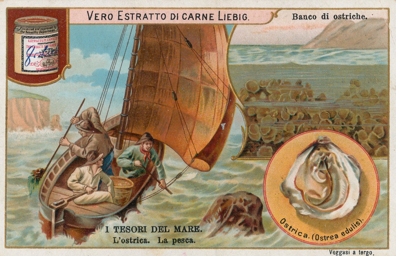 Schatten van de zee, Liebig-kaart, begin 20e eeuw (chromo) door European School