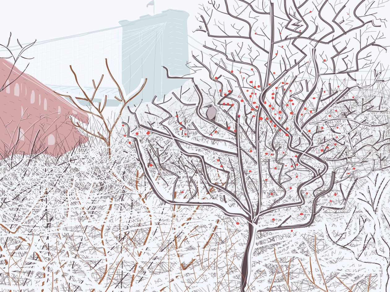 Vogel in sneeuw, Brooklyn Bridge Park (digitale kunst) door Evan Sklar