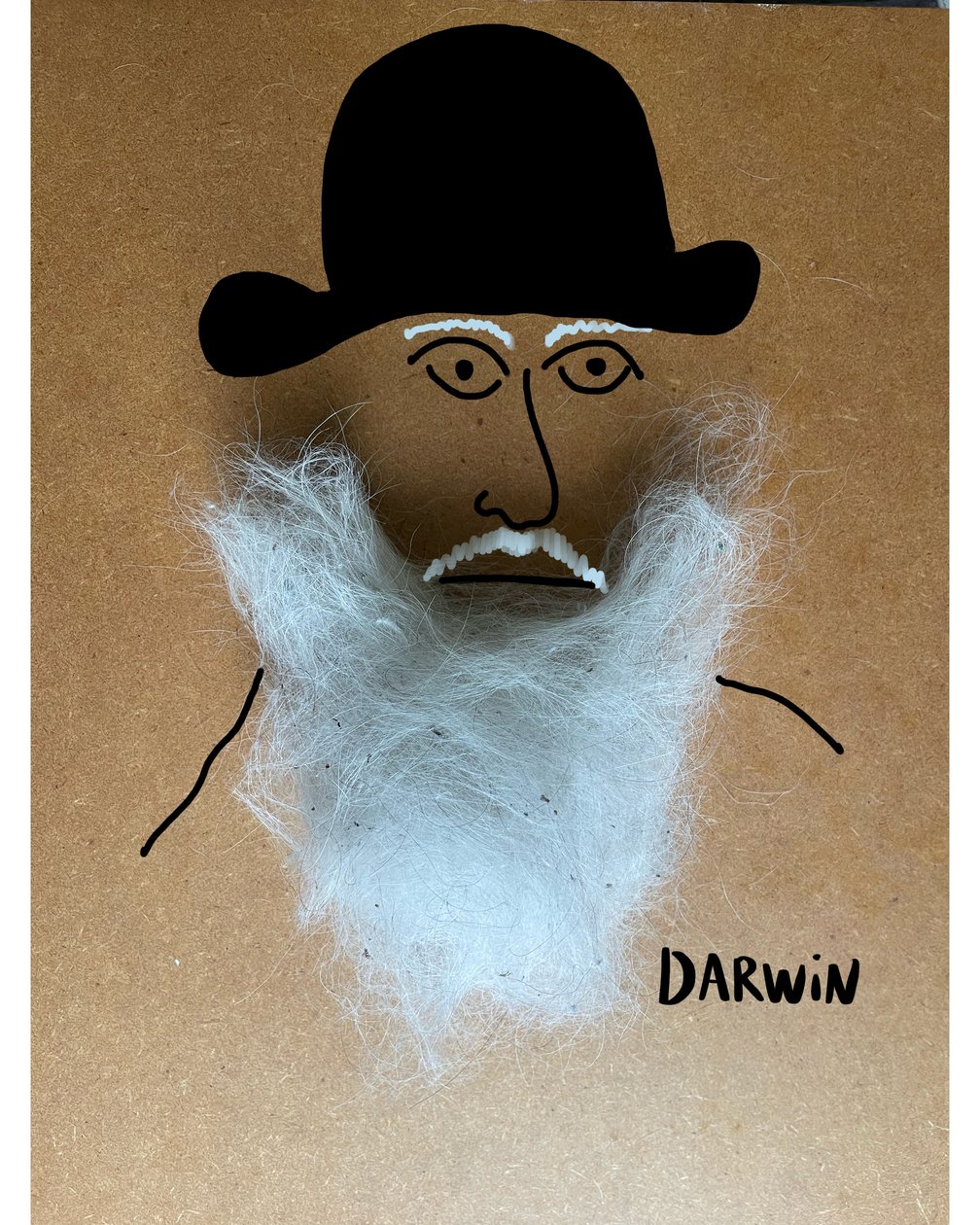 Charles Darwin door Evan Sklar