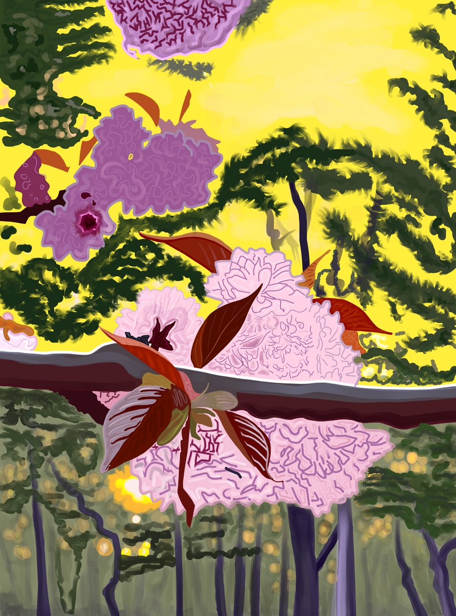 Kersenbloesems op tak Brooklyn (digitale kunst) door Evan Sklar