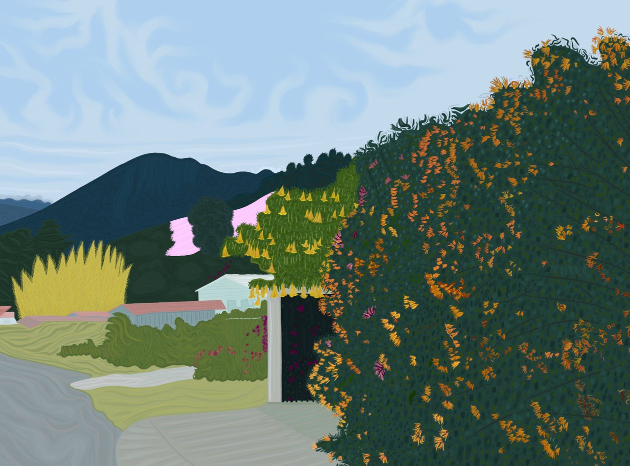 Chiriqui, Panama, ca 2020-24 (digitale kunst) door Evan Sklar
