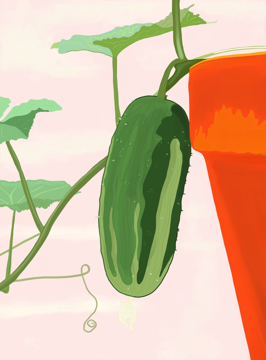 Komkommer in pot, Brooklyn (digitale kunst) door Evan Sklar