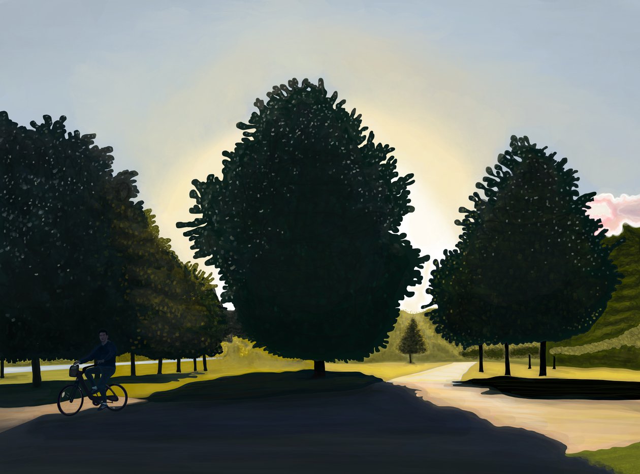 Fietser, zonsopgang, Hyde Park (digitale kunst) door Evan Sklar