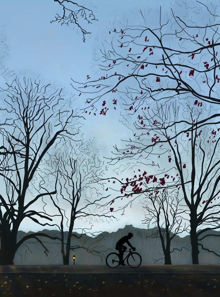 Fietser, ochtend, Prospect Park (digitale kunst) door Evan Sklar