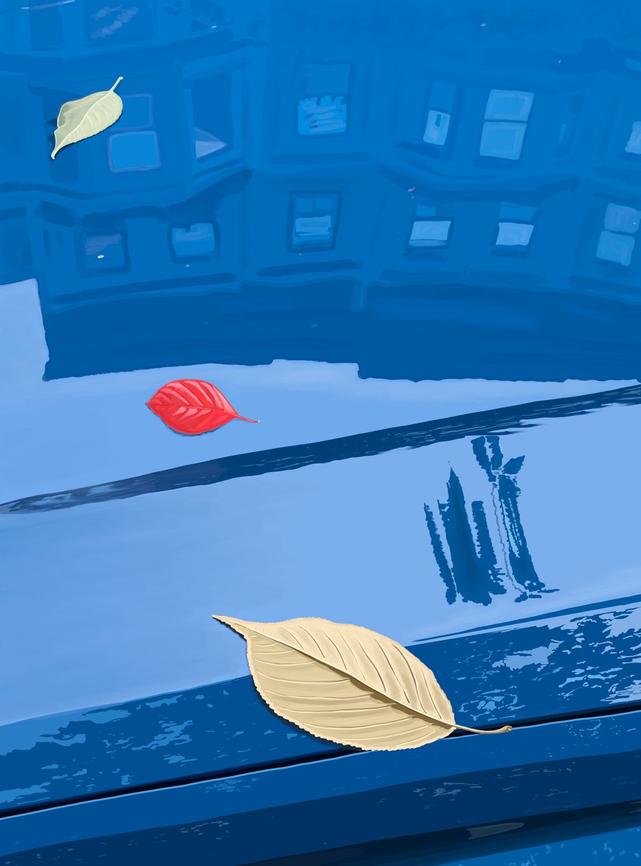 Gevallen bladeren op blauwe auto, Brooklyn (digitale kunst) door Evan Sklar