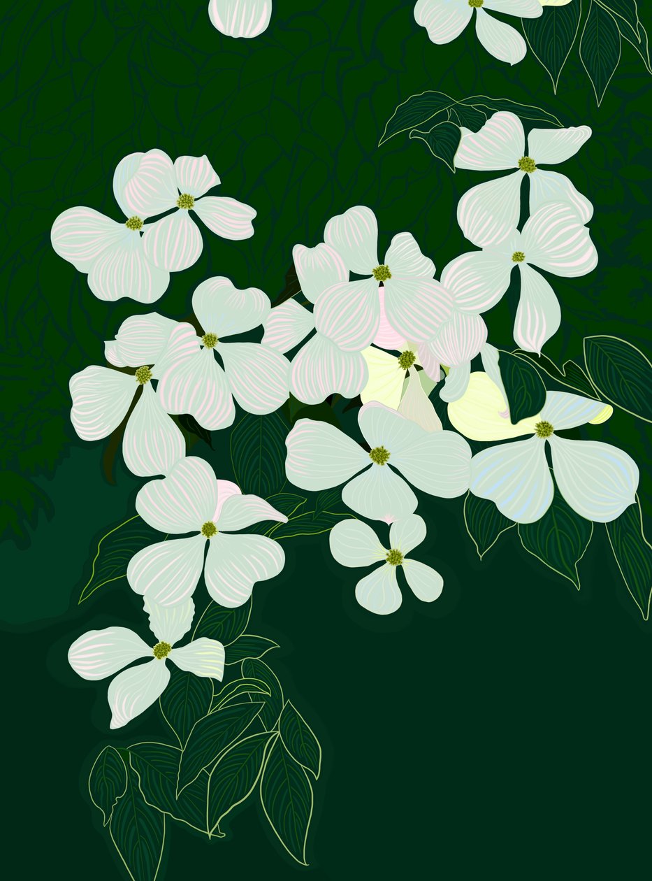 Bloeiende kornoelje, c.2020-24 (digitale kunst) door Evan Sklar