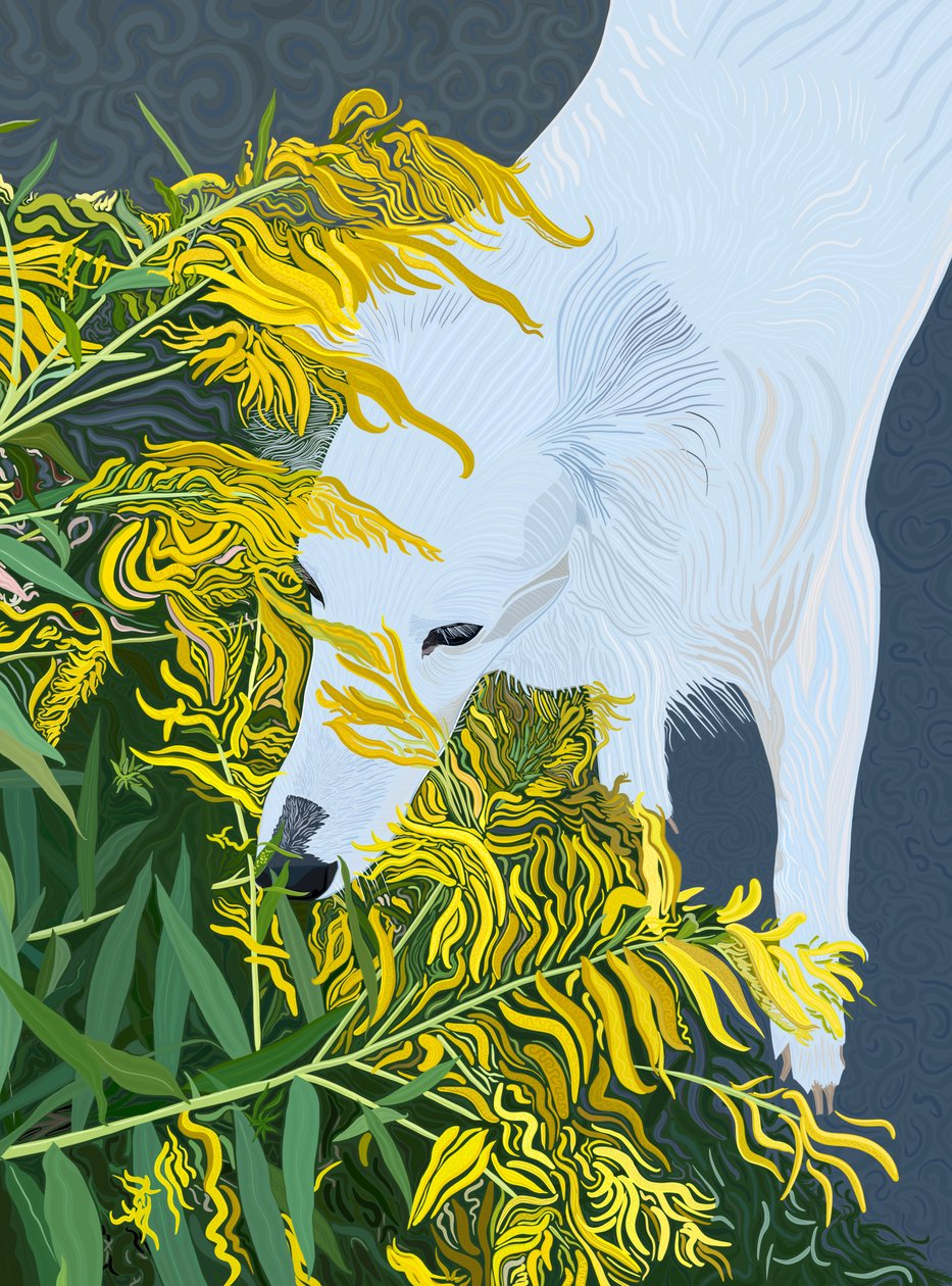 Goatdbeard Witte hond en guldenroede (digitale kunst) door Evan Sklar