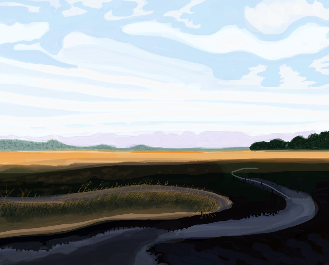 Low Country, 2016 (met de hand getekend op een iPad met een Apple potlood) door Evan Sklar