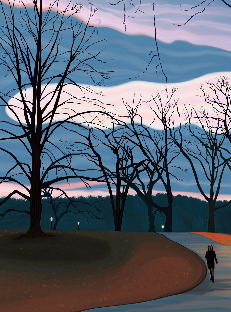 Man die oefent in Prospect Park bij zonsopgang schemering.(digitale kunst) door Evan Sklar