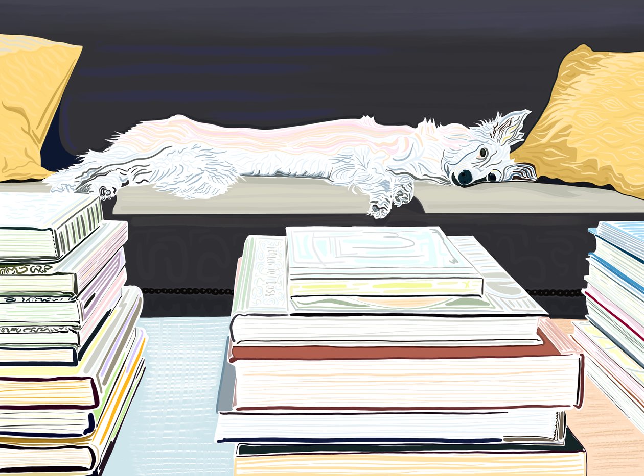 Minnie op sofa met boeken, c.2020-24 (digitale kunst) door Evan Sklar