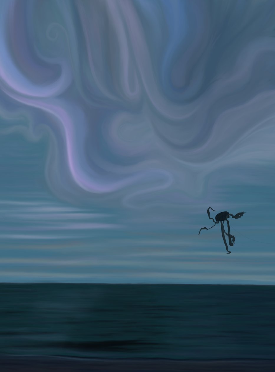 Oceaan en wolk met octopusvlieger (digitale kunst) door Evan Sklar