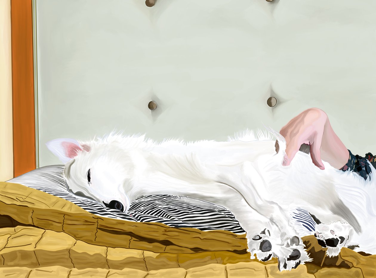 Penny op geel dekbed, Brooklyn (digitale kunst) door Evan Sklar