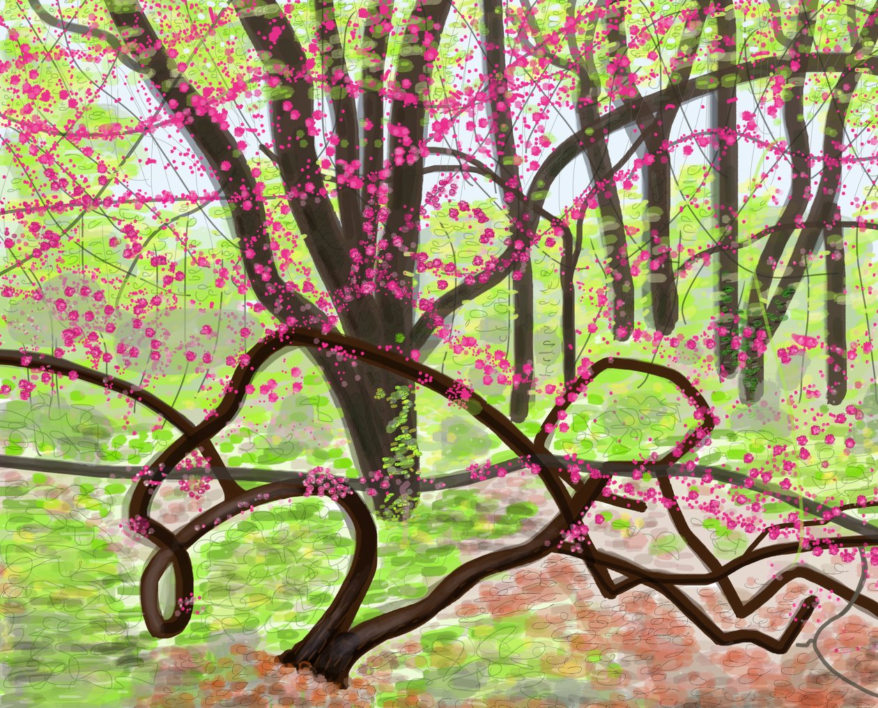 Prospect Park, lente, 2017 (met de hand getekend op een iPad met een Apple-potlood) door Evan Sklar