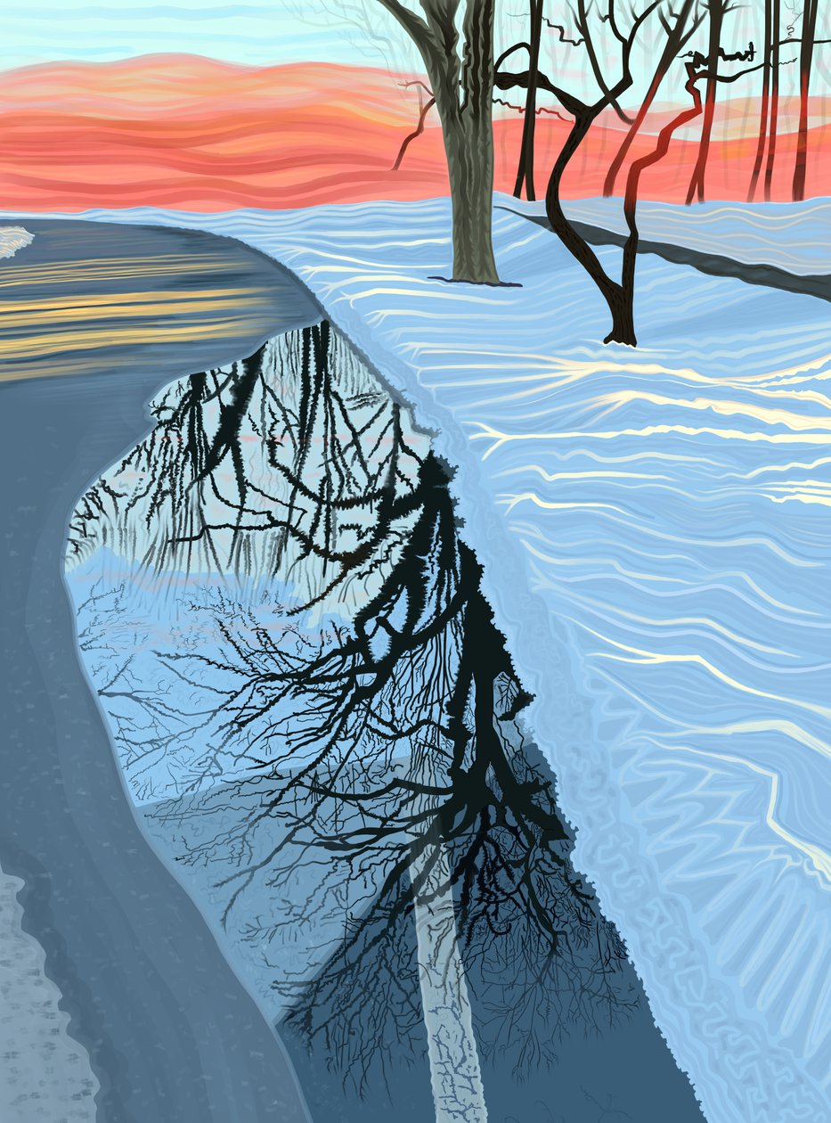 Plas en sneeuw in park, Brooklyn (digitale kunst) door Evan Sklar