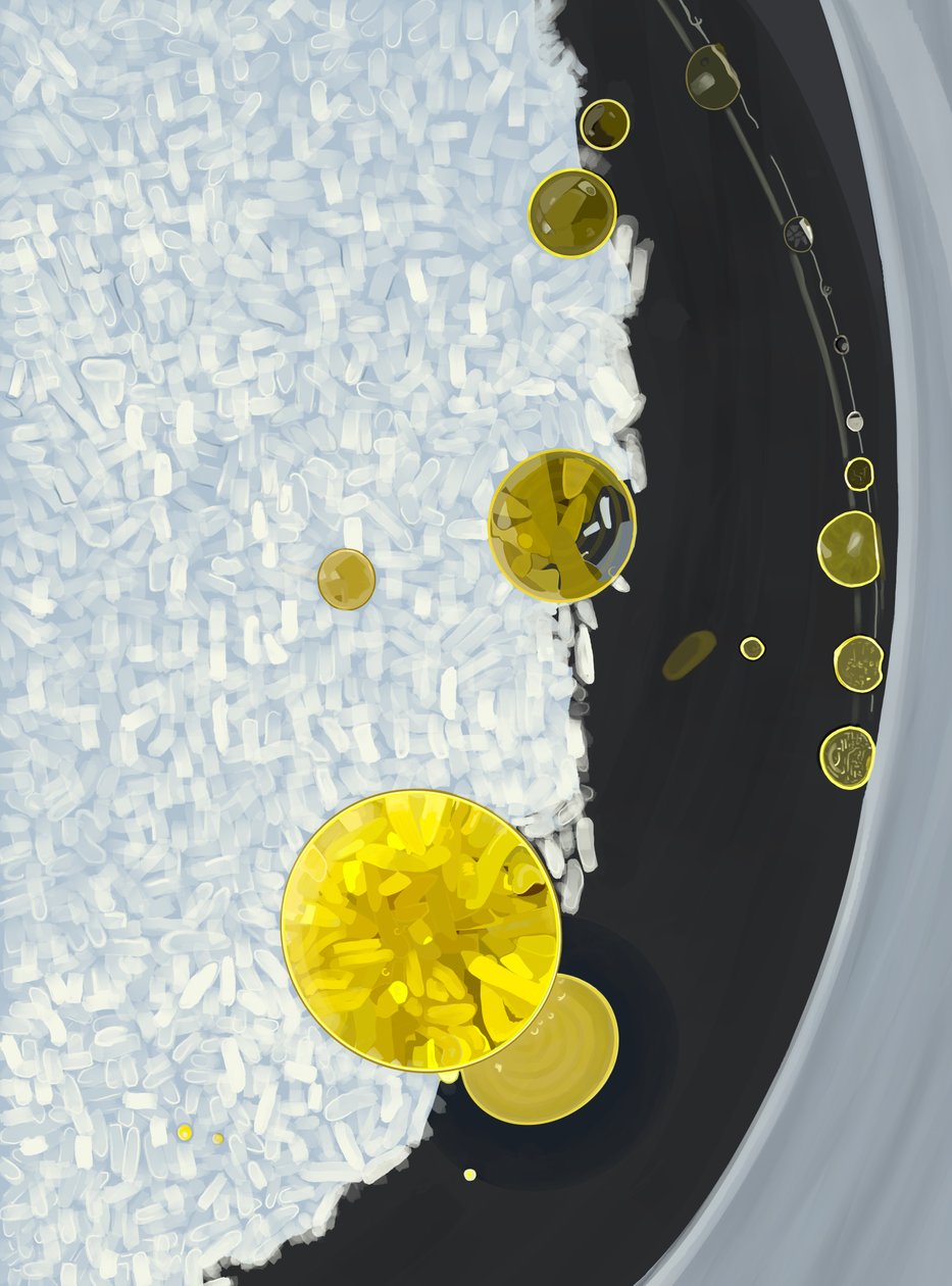 Rijst koken in pot met druppels olijfolie (digitale kunst) door Evan Sklar