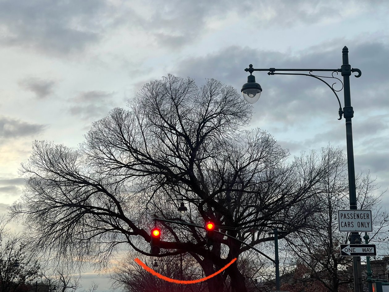 Lachende boom en verkeerslichten. Brooklyn (digitale kunst) door Evan Sklar