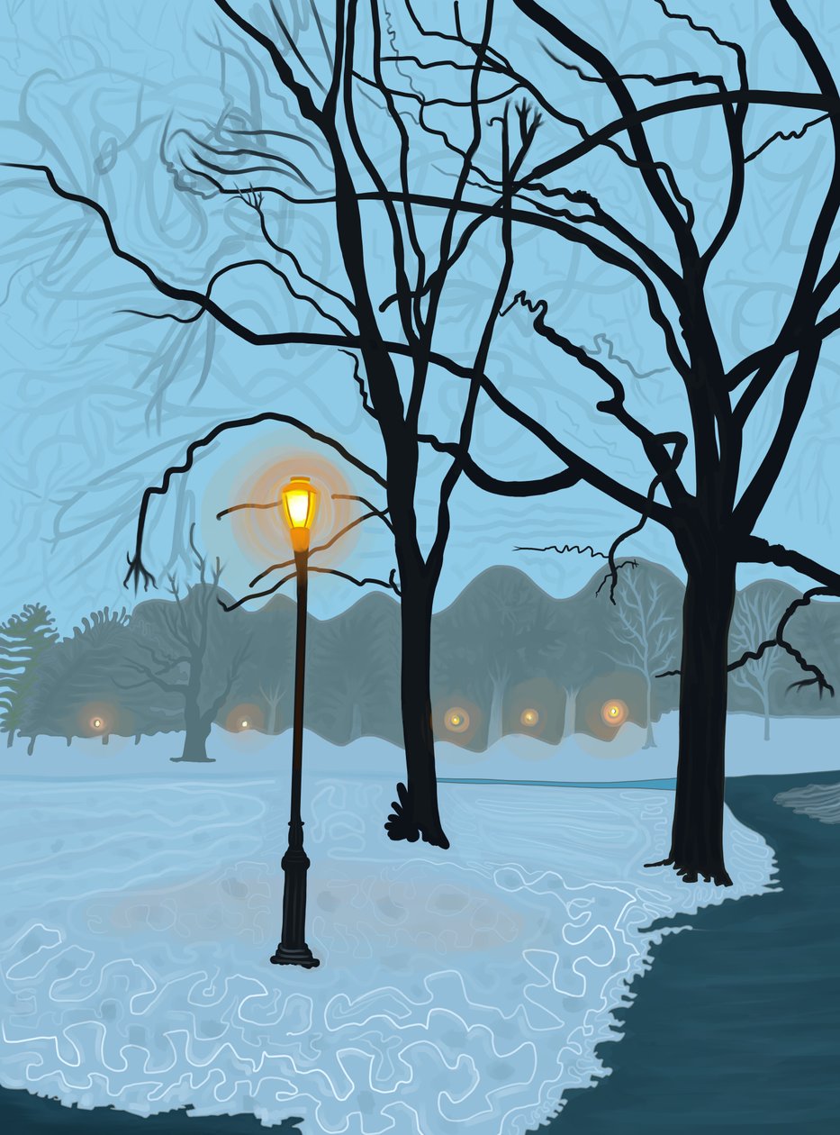 Boom weerspiegeld in een plas smeltende sneeuw, Brooklyn (digitale kunst) door Evan Sklar