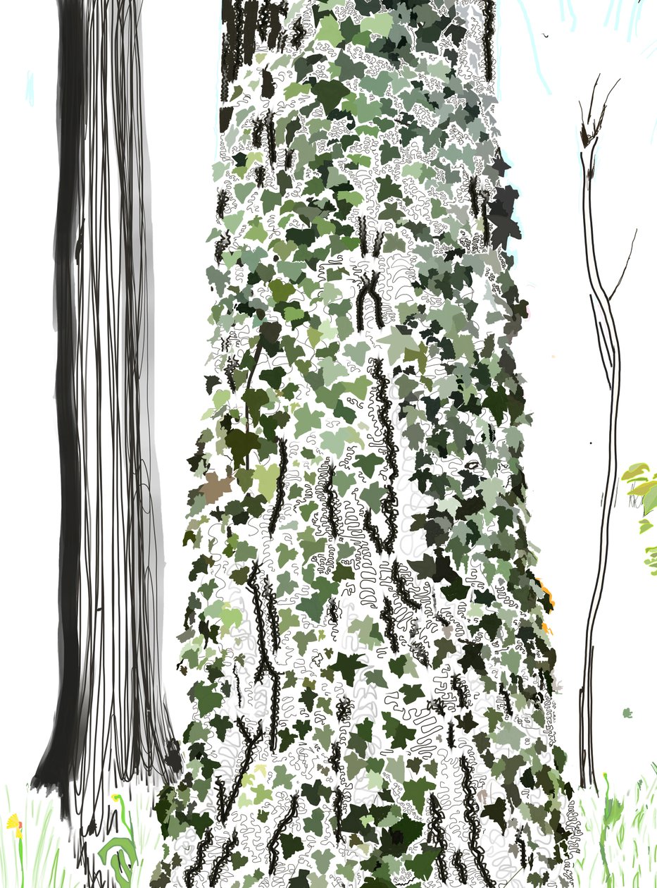 Boom met klimop (digitale kunst) door Evan Sklar