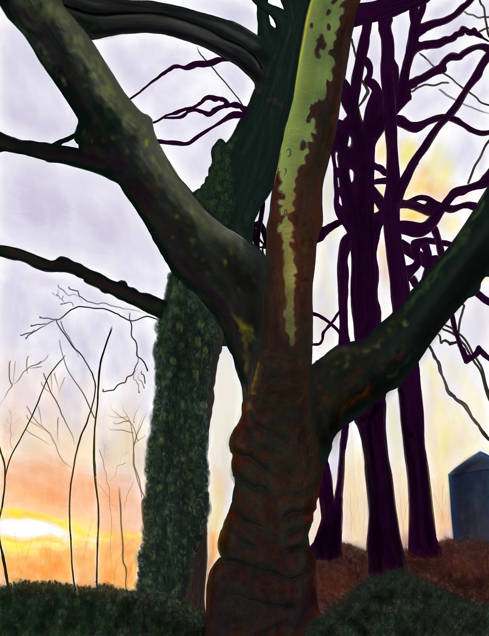 Bomen, Prospect Park, Brooklyn (digitale kunst) door Evan Sklar