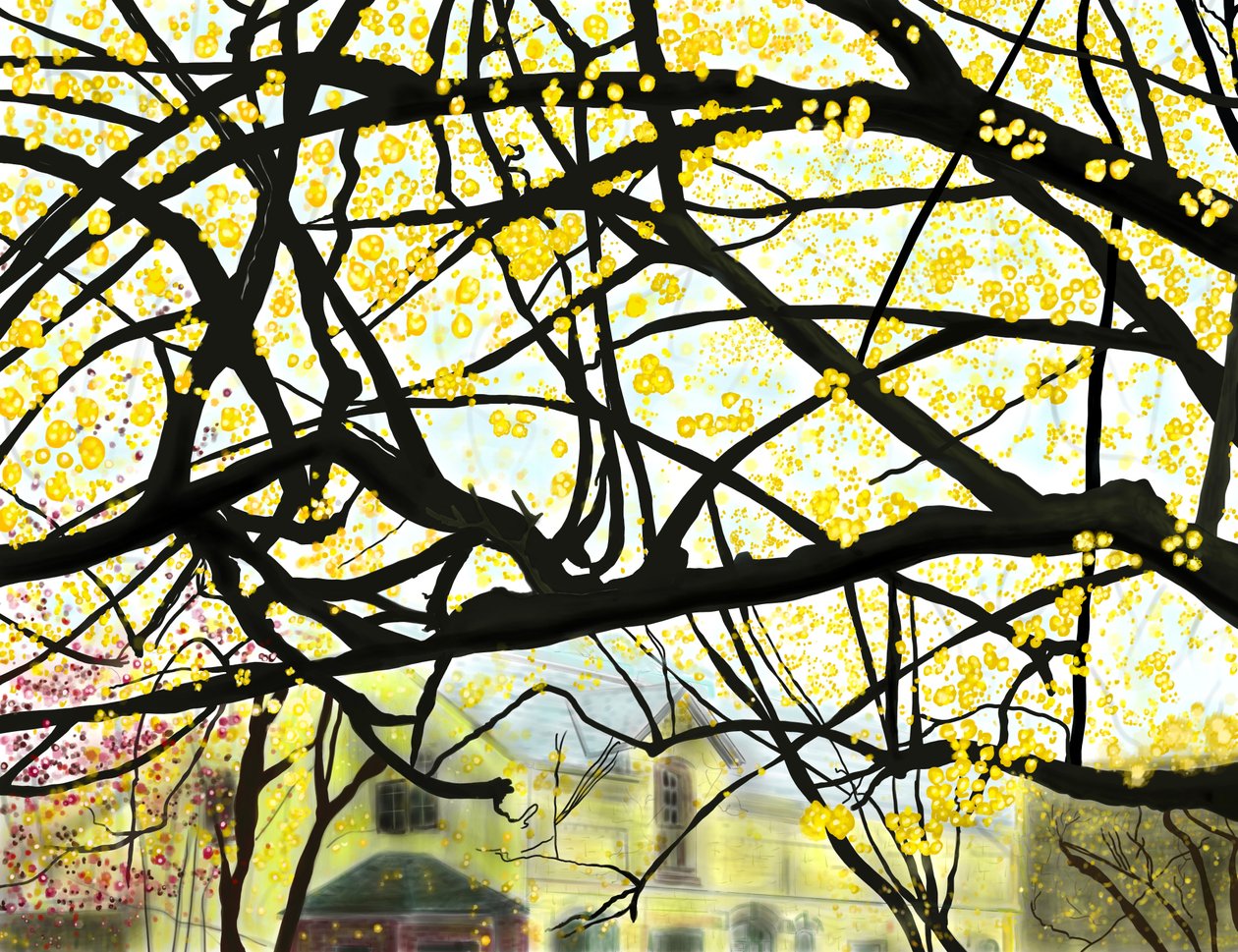 Geel bloeiende boom, Brooklyn (digitale kunst) door Evan Sklar