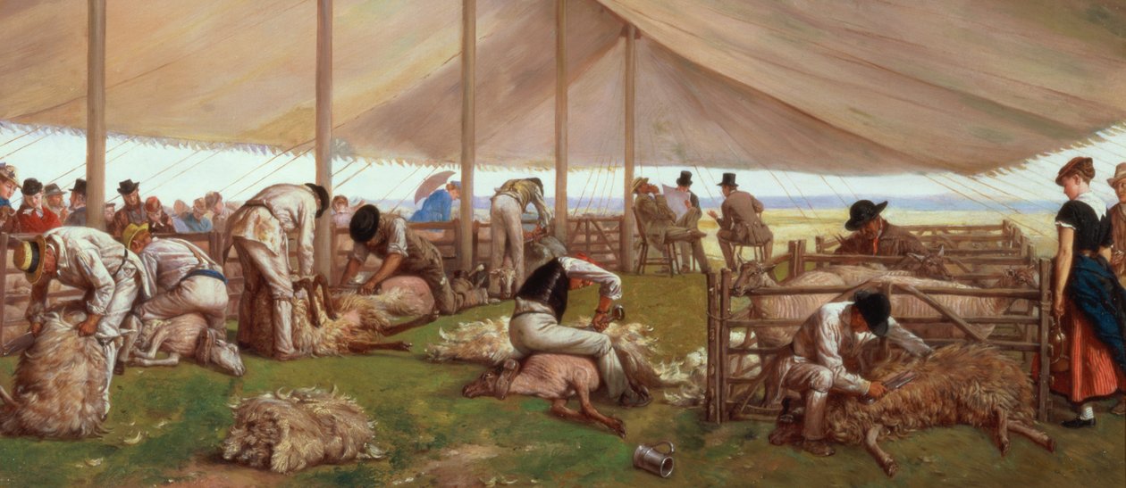 De Schapenscheerwedstrijd, 1875 door Eyre Crowe