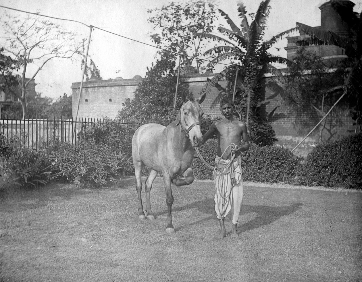 Man met een paard, Alipore, India, 1905-1906 door F. L. Peters