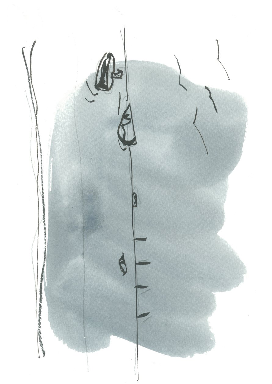  door Faye Bridgwater