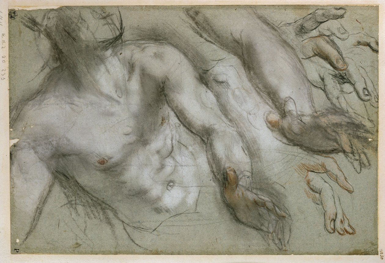 Studie voor de heiligenfiguur in het schilderij „Martelaarschap van de heilige Vitalis“ door Federico Barocci