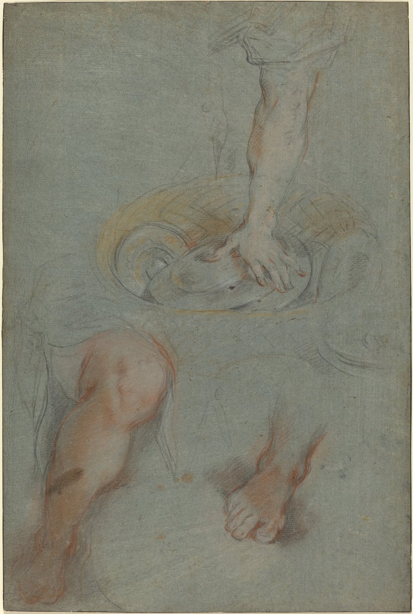 Studies voor een dienaar in "Het Laatste Avondmaal" door Federico Barocci