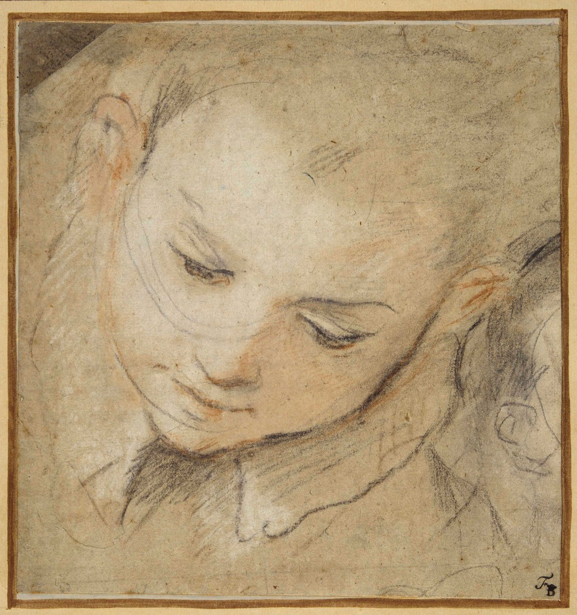 Hoofd van een jongen die naar beneden kijkt door Federico Fiori Barocci or Baroccio