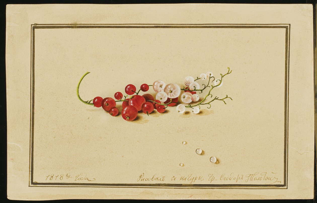 Rode en witte bessen, 1818 door Fedor Petrovich Tolstoy