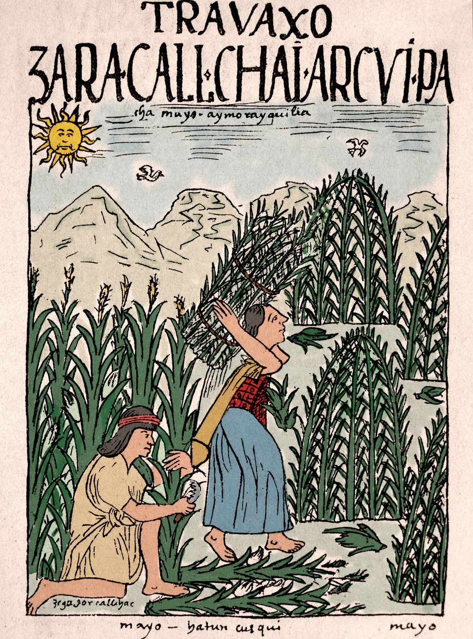 Inca Rijk: Inca boeren aan het werk op de velden in mei - Inkttekening uit het manuscript 