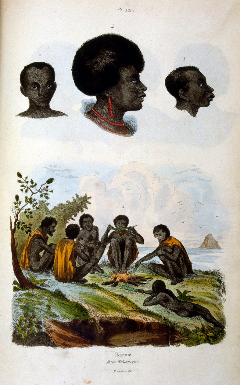 Antropologische illustratie van het Ethiopische ras door Felix-Edouard Guerin